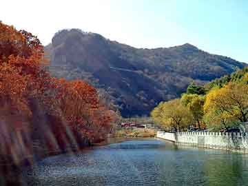 澳门天天开奖免费资料，水姿泉肠道水疗仪